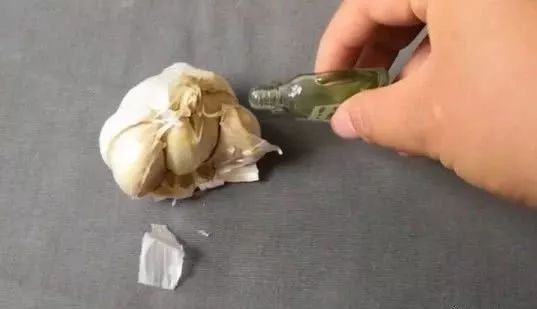 风油精滴在大蒜上，解决了家家户户晚上最大的难题，后悔才知道